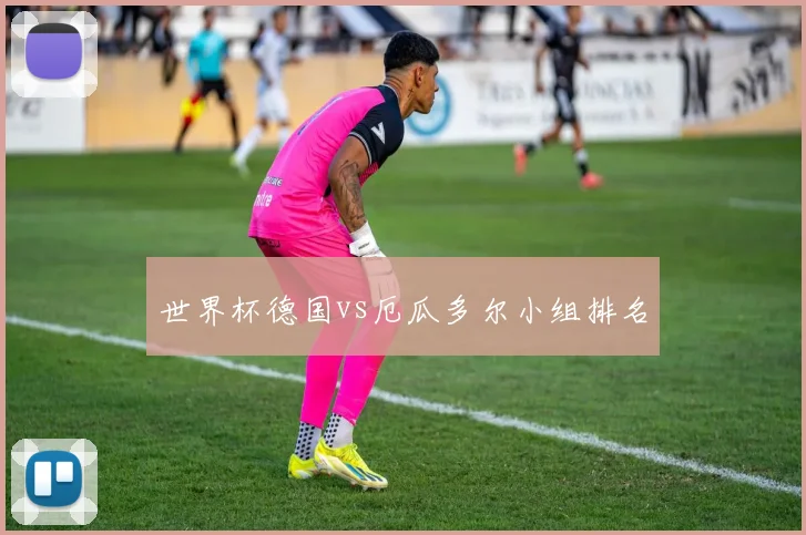 世界杯德国vs厄瓜多尔小组排名