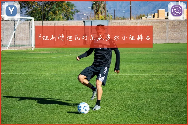 E组科特迪瓦对厄瓜多尔小组排名