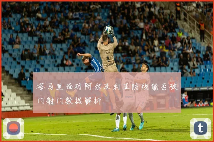 塔马里面对阿尔及利亚防线能否破门射门数据解析
