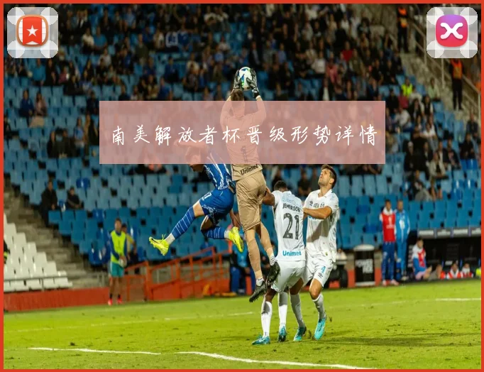 南美解放者杯晋级形势详情